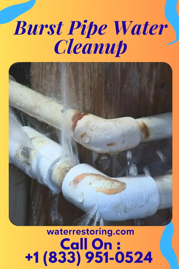 Burst Pipe Water Cleanup in Neptune City, NJ