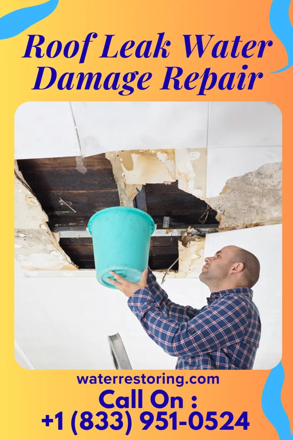 Roof Leak Water Damage Repair in Neptune City, NJ
