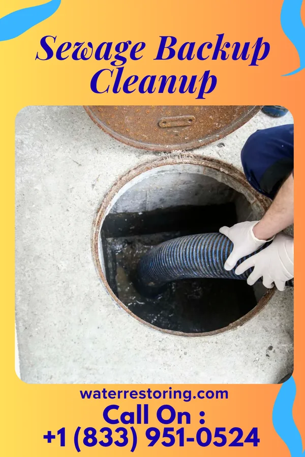 Sewage Backup Cleanup in Neptune City, NJ