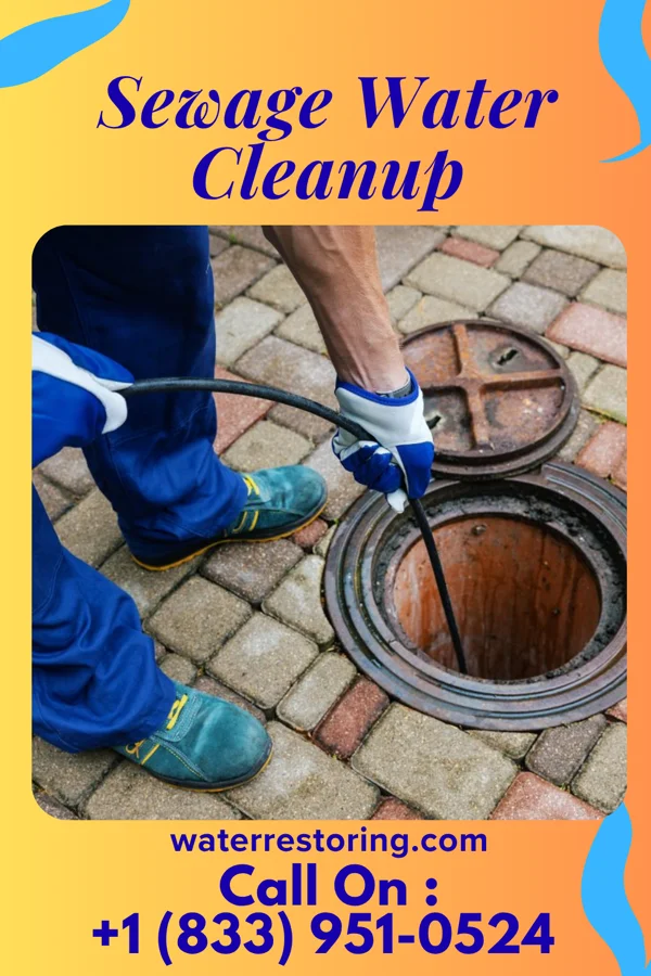 Sewage Water Cleanup in Neptune City, NJ