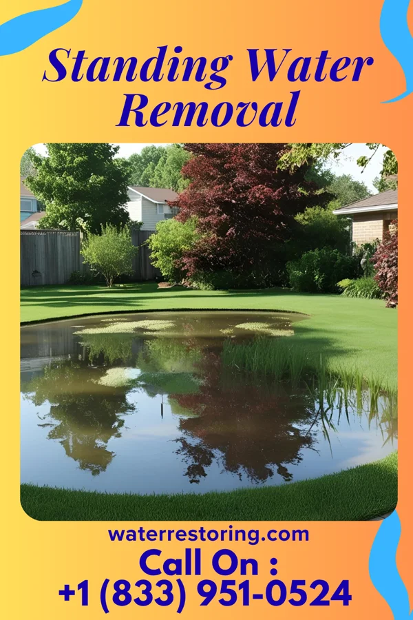 Standing Water Removal in Neptune City, NJ
